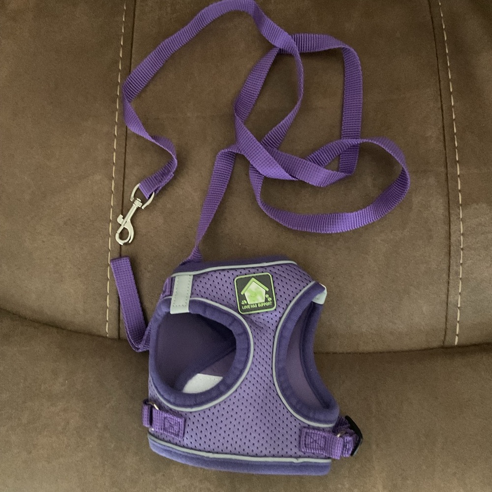 Purple Small Pet Harness and Leash